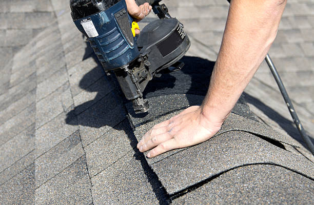 Best Skylight Installation and Repair  in Ackley, IA
